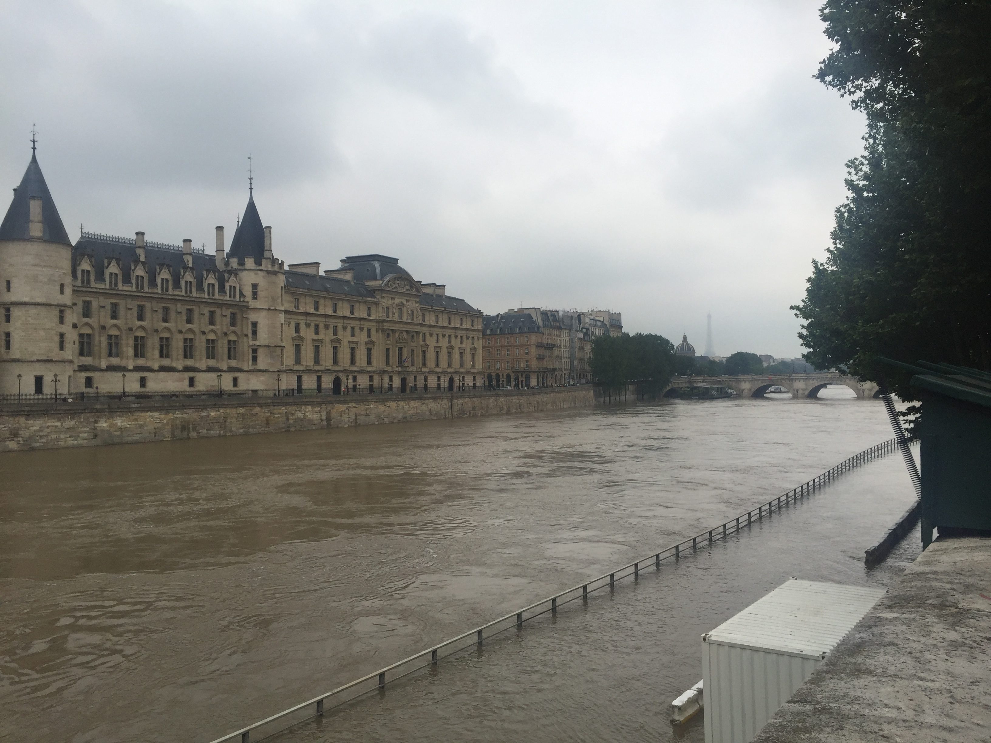 Seine oli pulleana.