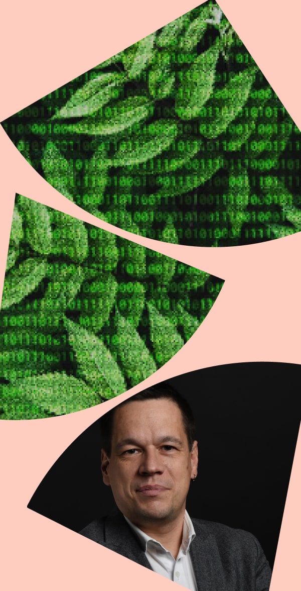 Green leaves that are formed from the code