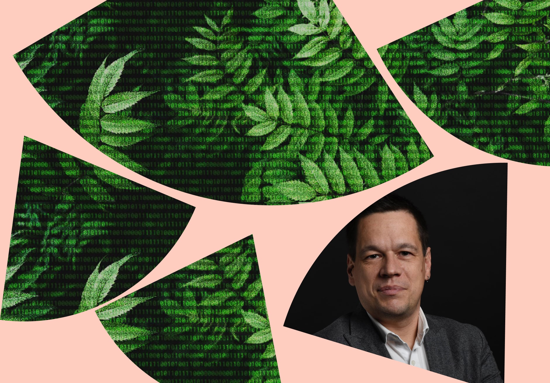 Green leaves that are formed from the code
